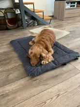 Blanket Kennel Couch Dog-Cushion-Mat Pet-Beds Dogs Foldable Small Outdoor Waterproof