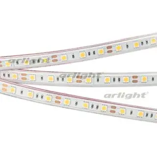 

012388 tape RTW 2-5000p 12v white6000 2x (5060, 300 LED, Lux)-5 m. Arlight