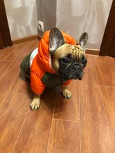 Outfit Jacket Hoodie Dog Warm Waterproof Winter Coat Splice Pet-Puppy 6-Colours 8-Sizes