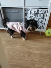 Fleece Vest Suit Coat Jackets Clothing Pet-Dog-Clothes New-Supplies Small Dog Winter