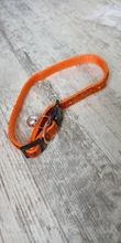 Collar de Gato brillante con cascabel para gato, correa ajustable para el cuello, accesorios para mascotas