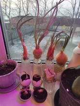 Grow-Lamp Lights-Plants E27-Hydroponic-System Indoor-Lighting 80leds Full-Spectrum 220V