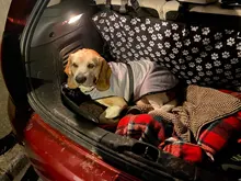 Pet Cushion Blanket Beds Dog-Bed-Mat Puppy Dogs Small Warm Large Cats-Pad Winter Thicken