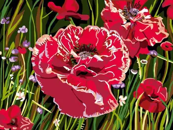 

Painting by numbers "poppies color" color kit ce142