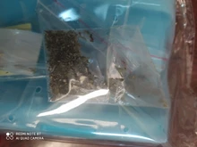 Comb Brush Cat-Product Cat-Massage Self-Groomer Corner Tickling The-Face with Rubs