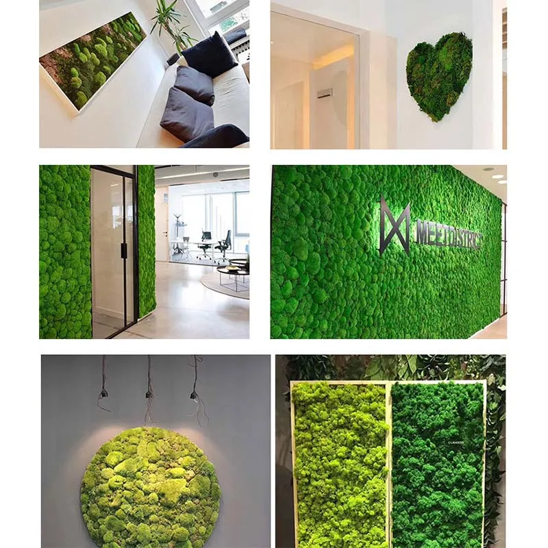 20g Artificial Immortal Moss Green Fake Plant for Home Garden Livingroom  Greening Decor Wall Fill Flower Plant Fake Moss