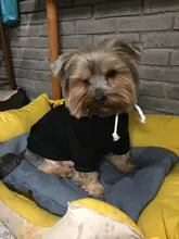 Dog Hoodies Jacket Costume Coat French Bulldog Chihuahua Winter for Pets-Clothing