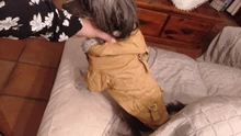 Chaqueta con capucha para gatos domésticos y perros, abrigo cálido para invierno, para perros medianos y pequeños, Chihuahua, ropa ligera