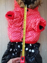 Coat Dogs-Clothing Dot-Pattern Winter Hooded Pet-Dogs New Xl To High-Quality