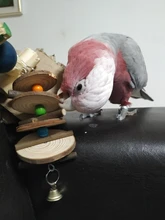 PipiFren Parrots Toys And Accessories For Bird Swing Supplies Stand Budgie For Parakeet