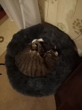 House Cat Puppy-Cushion Pet-Bed Cat-Supplies Sleeping-Bag Kennel Dog Plush Washable Warm