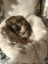 Cama de perro caliente de lana ronda perro perrera casa larga felpa invierno mascotas camas para perros medianos grandes perros gatos cojín del sofá suave esteras