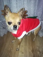 Christmas Dog Clothes Small Dogs Santa Costume for Pug Chihuahua Yorkshire Pet Cat Clothing