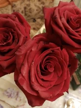 DOTIFI 316L anillo de acero inoxidable, Coreano Simple dulce creativo grande 8 palabra compromiso anillo de boda, joyería E1