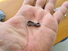 10 unids/lote carabinero Mini Camping EDC supervivencia escalada SF mosquetones de mochila llavero Paracord equipo táctico colgadores para llaves cadena