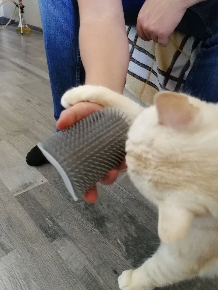 Cat Self Groomer with Cat Nip photo review