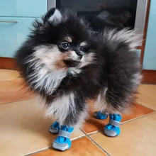 Pet-Boots Cat-Shoes Dog Small-Dogs Puppy-Socks Protecters Rain-Snow Anti-Slip Winter