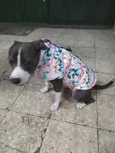 Ropa de invierno para Perros Bulldog Francés, abrigo cálido, atuendo con chaleco para perros pequeños, medianos y grandes