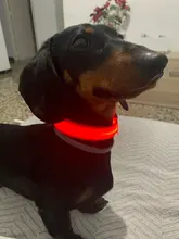 Collar con luces LED para perro, collar de luz recargable por USB, ideal para usar de noche al aire libre, accesorio de seguridad para mascota
