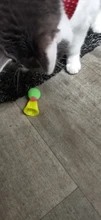 [MPK Store] Jumping Cat Toy, Pet Cat Toy, Toy for Cats, Bouncing Toy