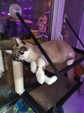 Bearing Hammock Cat Balcony Climbing Waterproof Sleeping-Mattress Cat-Bed-Cat Pet Fabric