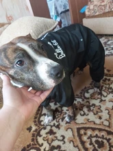 Dog-Coat Winter HOOPET for Dogs Clothing Warm Christmas Big