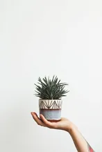 De la cadena de moda collar de perlas para mujeres Perla Barroca abalorio de Metal colgantes collares de gargantilla de cadena de cuentas de joyería regalos