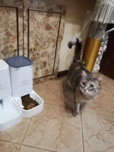 Pet-Bowl Pet-Autommatic Cats Water-Feeder/feeder-Device Small Lovefat for Fmedium