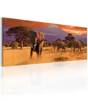 

Chart-March of African elephants