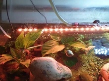 Aquarium Freeze Dried Shrimp Eggs Tropical Small Marine Fish Food Nutrition