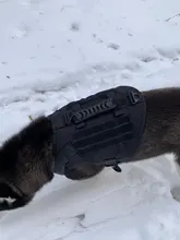 Vest Dog-Harness German-Shepherd Dogs Pet-Military-Training Molle Tactical Medium 