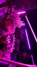 LED Grow Light 220V Full Spectrum LED Bar Lamp for Plants High Luminous Efficiency 8W
