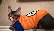 De moda disfraz mascota gato verano gato chaleco con capucha acogedor Mascoats Goto, ropa para gatos, Katten abrigo Kedi sudadera ropa traje