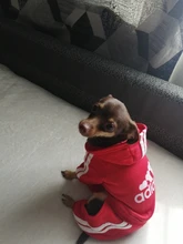 Pet Dog Clothes Fashion Hoodie Spring and Summer For Dogs Coat Jacket Cotton Ropa Perro