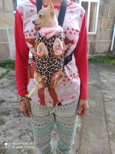 Gato bolsa frente mochila portador de chihuahua de perro de peluche mochila perros pequeños de mascotas productos para mascotas perros chien