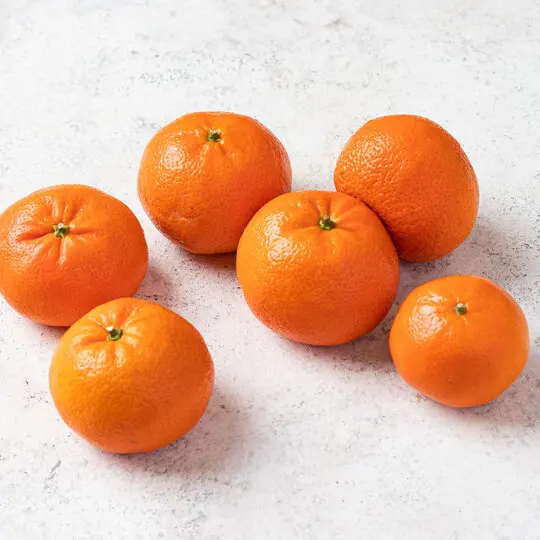 мандарин надоркотт описание сорта. муркотт сорт мандарин. мандарины муркотт. мандарины муркотт. мандарины муркотт.