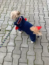 Mono para Perro suave y cálido, pijama de lana para mascotas, Ropa para perros, abrigo, chaqueta, Chihuahua, Yorkshire