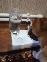 Pet-Supply Dish-Bowls Raised-Stand Pet-Cat-Bowl Water-Dispenser Drinking Automatic Dog