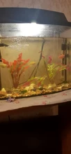 Aquarium-Accessories Decoration Materials Fish-Tank Artificial Green 20cm PVC Plants