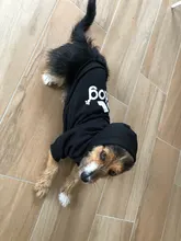 Pet Dog Clothes Fashion Hoodie Spring and Summer For Dogs Coat Jacket Cotton Ropa Perro