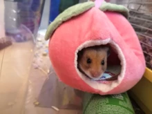 House Chinchilla Hammock-Cage Nest Hamster Sugar Glider Animal-Swing Hide Cute Sleeping-Bed