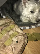 Mochila para actividades al aire libre, bolsa de hombro militar deportiva para hacer senderismo, trekking, escalada, acampar, cazar, pescar