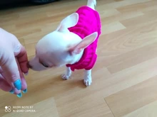 Winter Sweater Puppy Chihuahua Yorkshire Knitted Dog for Small Medium Pure-Dog Ropa-Perro