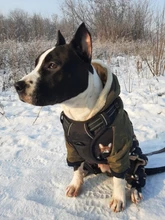 Vest Harness Pet-Dog No-Pull SUPREPET Nylon Adjustable for Large Medium