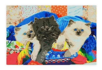 

Painting by numbers on canvas 30x40 cm "funny kittens" Red Cat pp022