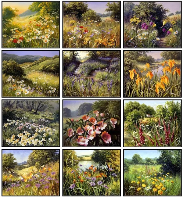 Summer Wildflowers Collection 2