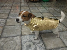 Coat Jacket Vest Bulldog-Clothing Puppy Dogs-Chihuahua French Waterproof Large Winter