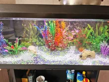 Fish-Tank-Decoration Aquarium Water-Grass Artificial Green New Plants Purple 37CM Viewing