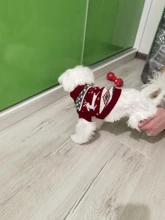 Dog Sweater Coat Clothing Cat-Costume Pet Christmas Halloween for Small Deer Warm