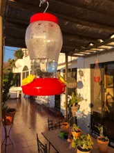 Alimentador de colibrí de cintura ancha, bebedor y alimentador de comida de pájaro para Patio, ventana, picaflor, N50